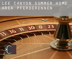 Lee Canyon Summer Home Area  Pferderennen
