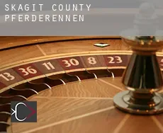 Skagit County  Pferderennen
