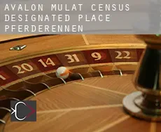 Avalon Mulat Pferderennen