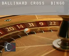 Ballinard Cross  Bingo