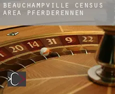 Beauchampville (census area)  Pferderennen