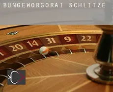 Bungeworgorai  Schlitze