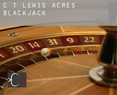 C T Lewis Acres  Blackjack