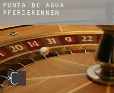 Punta de Agua  Pferderennen