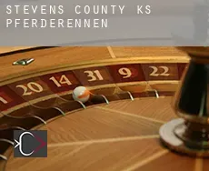 Stevens County  Pferderennen