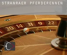 Stranraer  Pferderennen