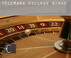 Telemark Village  Bingo