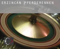 Erzincan  Pferderennen
