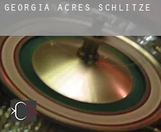 Georgia Acres  Schlitze