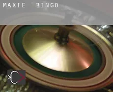Maxie  Bingo