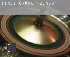 Piney Grove  Bingo