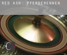 Red Ash  Pferderennen