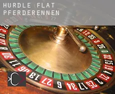 Hurdle Flat Pferderennen