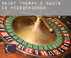 Saint-Thomas-d'Aquin (census area)  Pferderennen