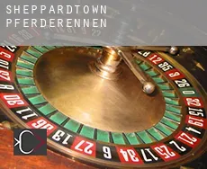 Sheppardtown  Pferderennen