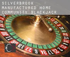 Silverbrook Manufactured Home Community Blackjack