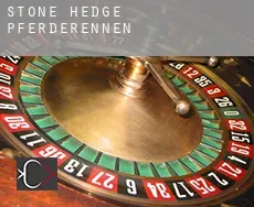 Stone Hedge  Pferderennen