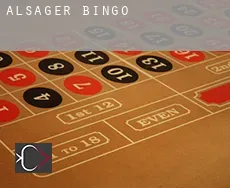 Alsager  Bingo
