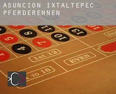 Asunción Ixtaltepec  Pferderennen