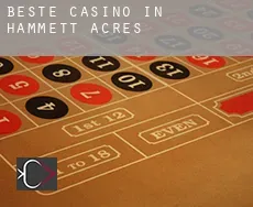 Beste Casino in  Hammett Acres