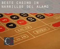 Beste Casino in Narrillos del Álamo