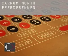 Carrum North  Pferderennen