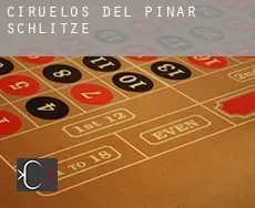 Ciruelos del Pinar  Schlitze