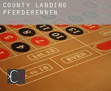 County Landing  Pferderennen