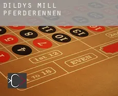Dildys Mill  Pferderennen