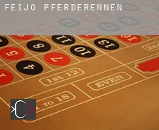 Feijó  Pferderennen