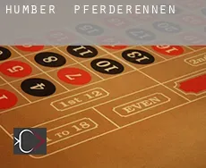 Humber  Pferderennen
