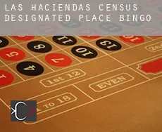 Las Haciendas  Bingo