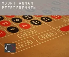 Mount Annan  Pferderennen