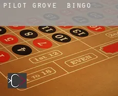 Pilot Grove  Bingo