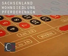 Sachsenland-Wohnsiedlung Pferderennen