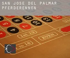 San José del Palmar Pferderennen