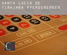 Santa Lucía de Tirajana Pferderennen