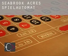 Seabrook Acres  Spielautomat