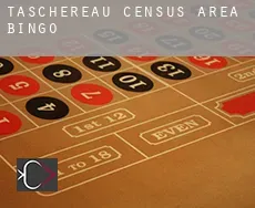 Taschereau (census area)  Bingo