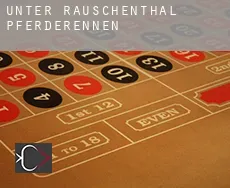 Unter Rauschenthal  Pferderennen
