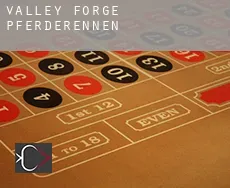 Valley Forge Pferderennen