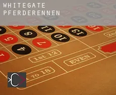Whitegate  Pferderennen