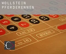 Wöllstein  Pferderennen
