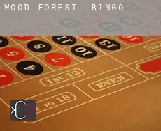 Wood Forest  Bingo