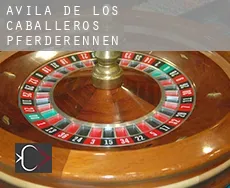 Ávila Pferderennen