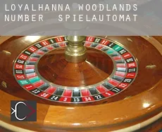 Loyalhanna Woodlands Number 1  Spielautomat