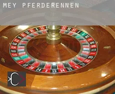 Mey  Pferderennen