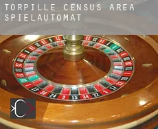 Torpille (census area)  Spielautomat