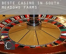 Beste Casino in South Meadows Farms