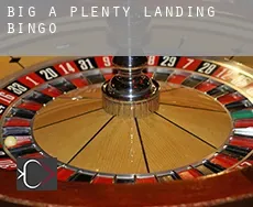 Big A Plenty Landing  Bingo